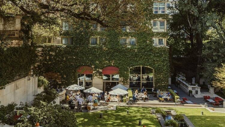 Gioia Cocina Botánica