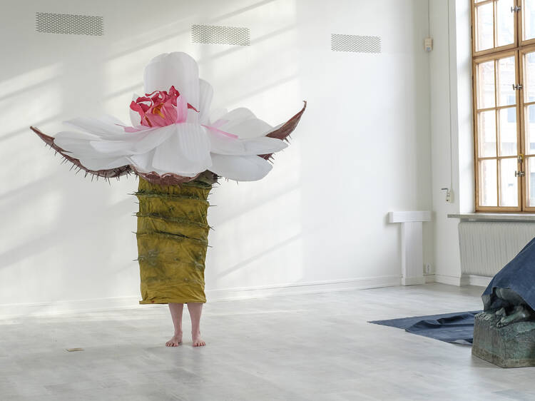 A velvet ant, a flower and a bird