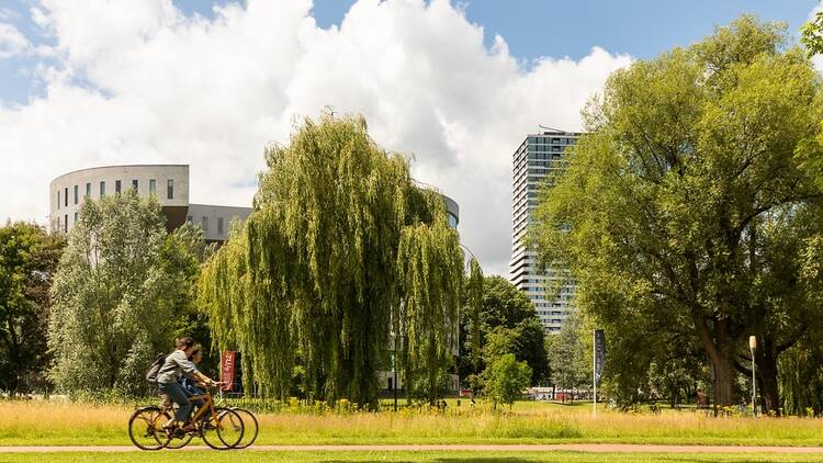 People cycling in Eindhoven