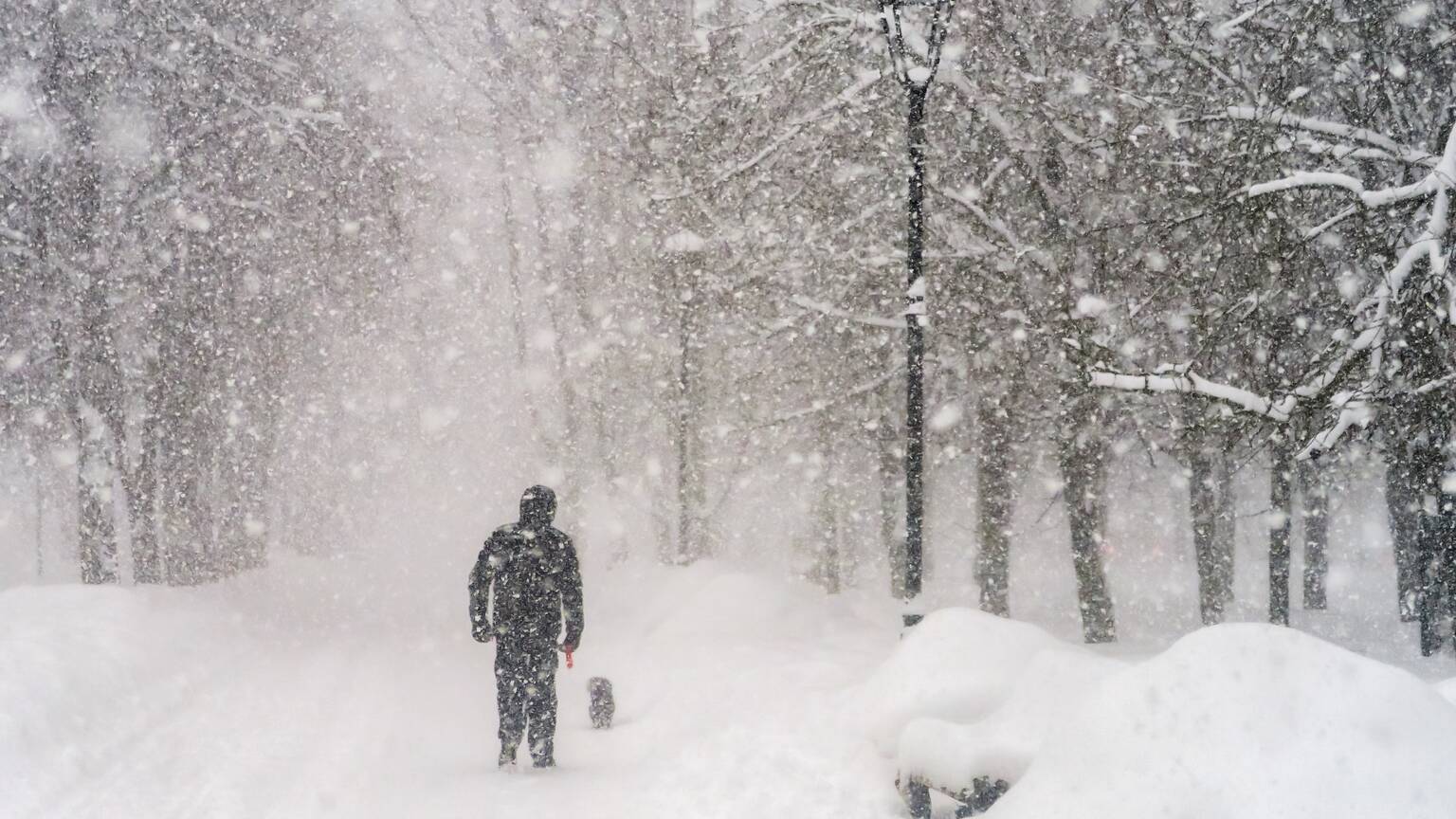 Massive Winter Storm Slams Canada Bringing 40 CM Snow, Rain and Chaos ...