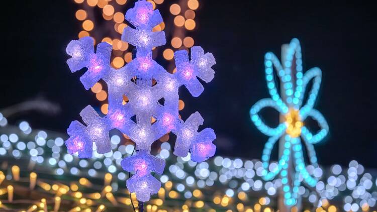 Sennan Park Light-up Sennan Park Light-up