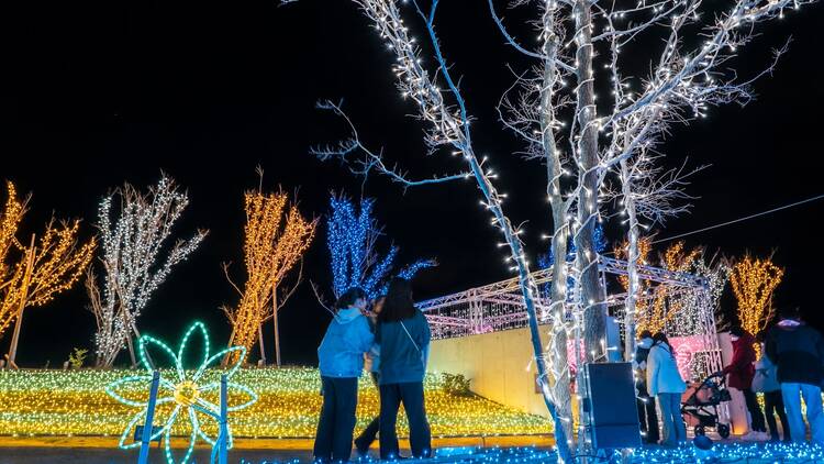 Sennan Park Light-up Sennan Park Light-up