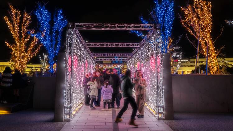 Sennan Park Light-up Sennan Park Light-up