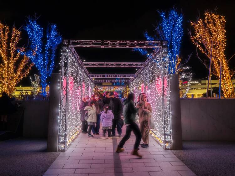 Sennan Park Light-up Sennan Park Light-up