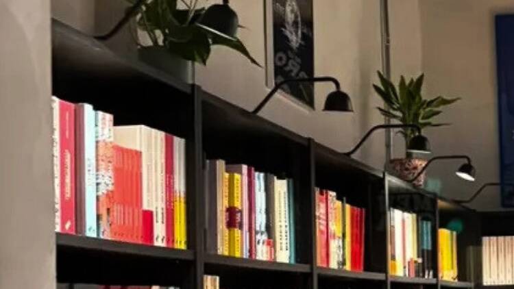 Librería Perros de Lluvia