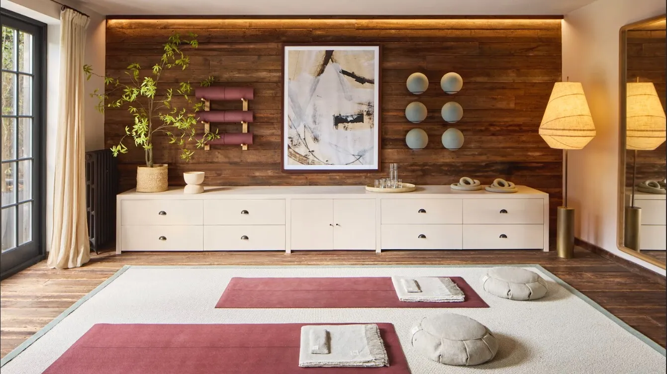 Omaze north London house gym