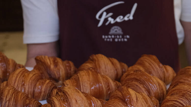 Fred Bakery 