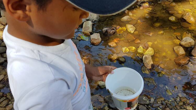 Fun in the sun at leafy Paradise Park