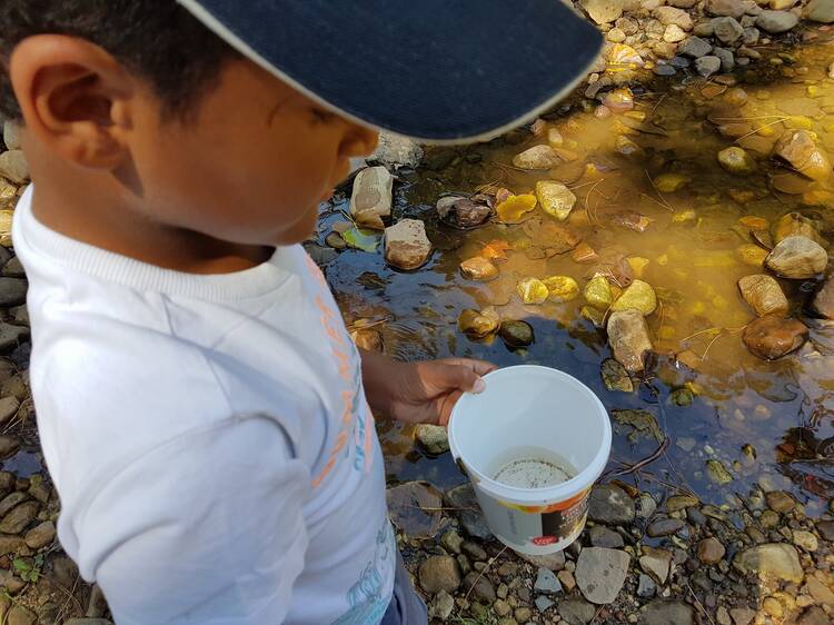 Fun in the sun at leafy Paradise Park