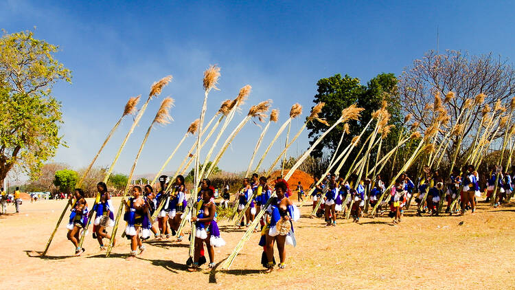 Umkhosi woMhlanga (Zulu Reed Dance) Umkhosi woMhlanga (Zulu Reed Dance)