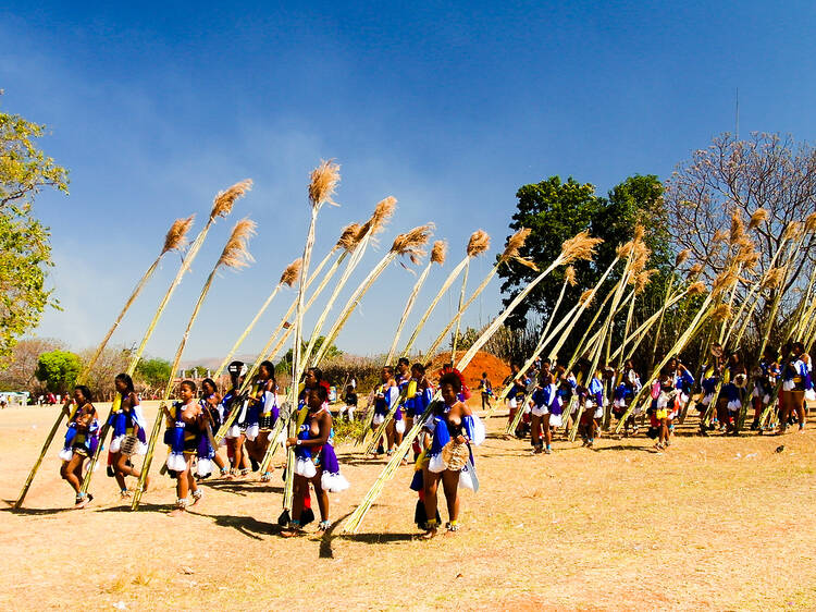 Umkhosi woMhlanga (Zulu Reed Dance) Umkhosi woMhlanga (Zulu Reed Dance)
