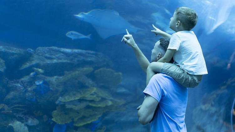 Underwater aquarium adventure