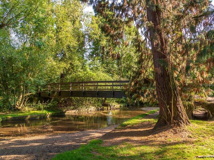 The charming, leafy town that is the most peaceful place to live in England