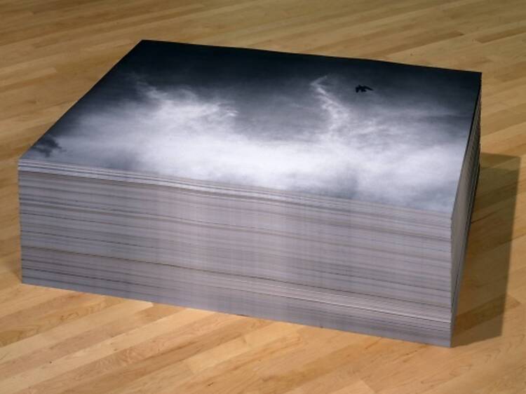 Félix González-Torres. Sweet Revenge