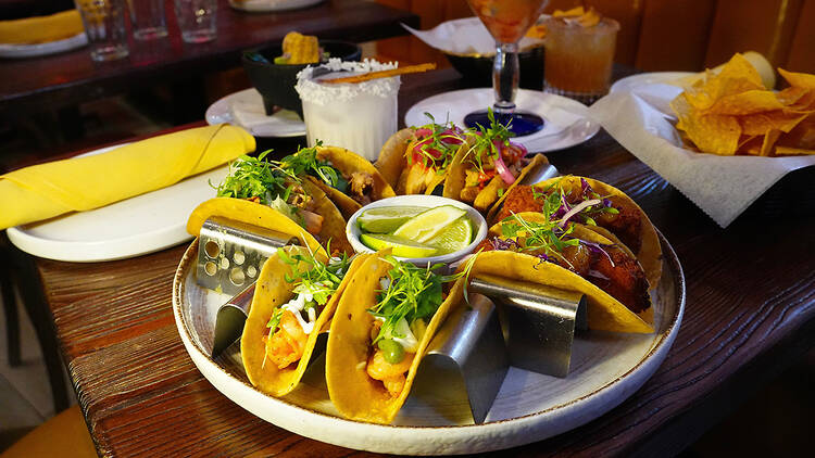 Taco Tray + winter cocktail (Mamazul)