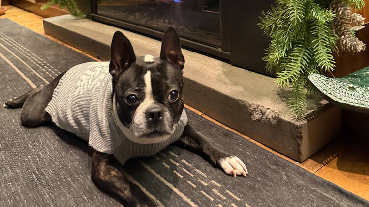 Kimpton Hotel Eventi