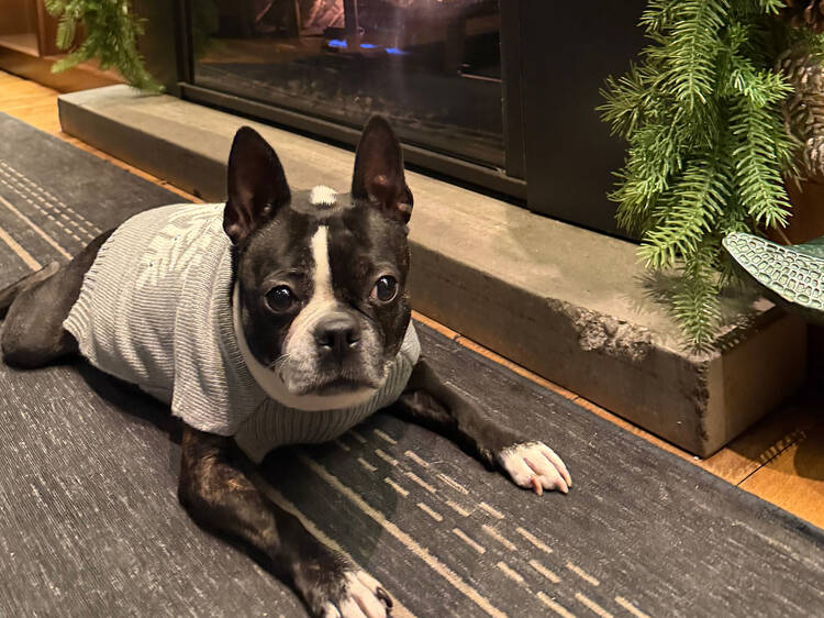 Kimpton Hotel Eventi