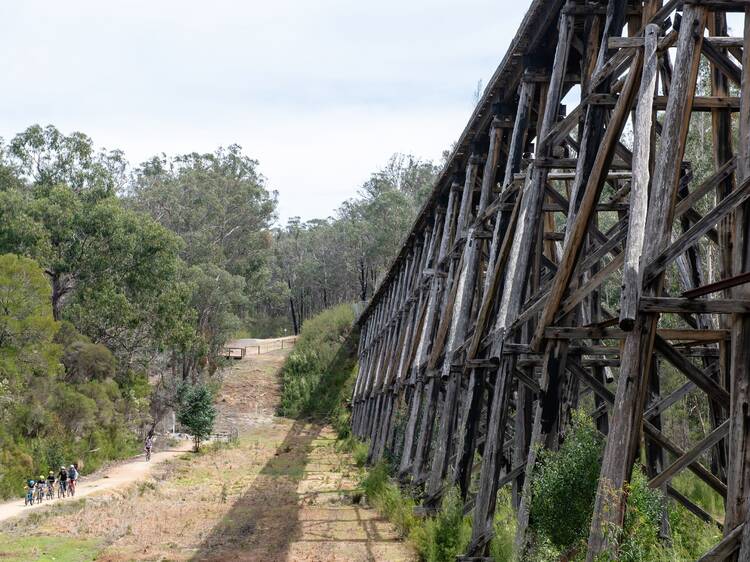 Four of the best cycling holidays in Australia are right here in Victoria