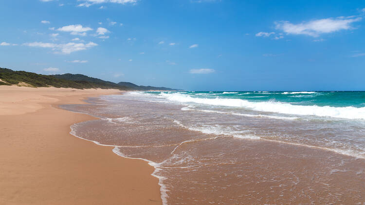 St. Lucia, KwaZulu-Natal St. Lucia, KwaZulu-Natal