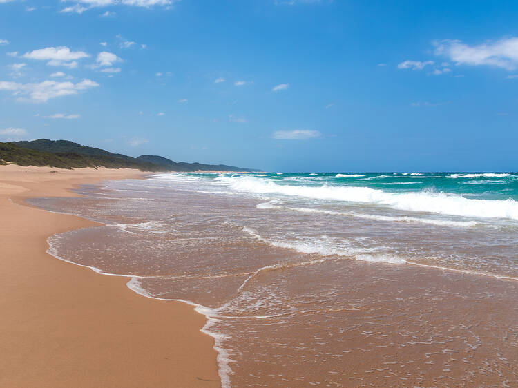 St. Lucia, KwaZulu-Natal St. Lucia, KwaZulu-Natal