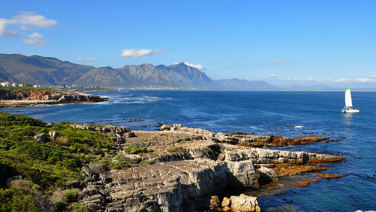 Hermanus, Western Cape Hermanus, Western Cape