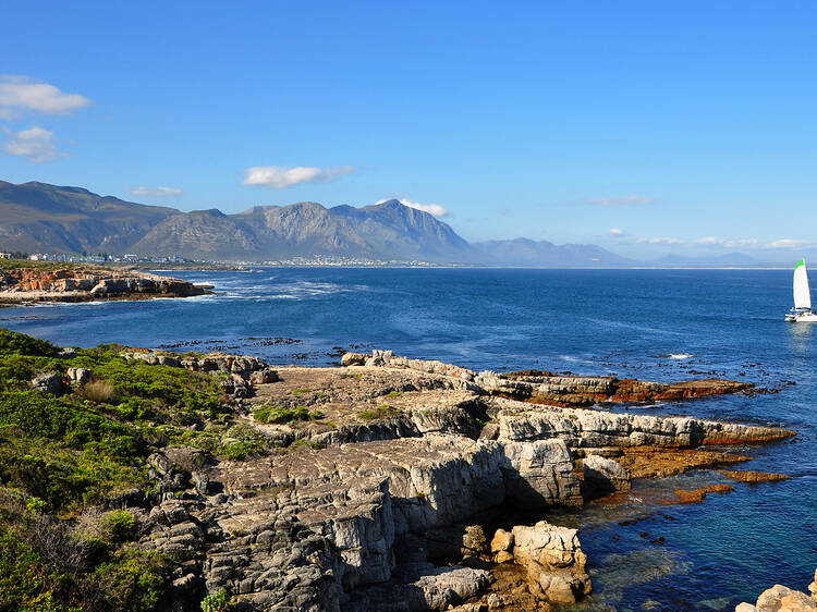 Hermanus, Western Cape Hermanus, Western Cape