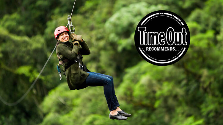Zip line through the rainforest