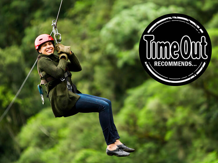 Zip line through the rainforest