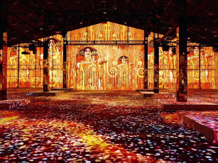 クリムトとシーレの世界へダイブ、没入型アートミュージアムが横浜に誕生