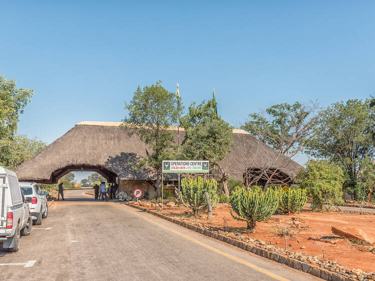 Nine points of entry