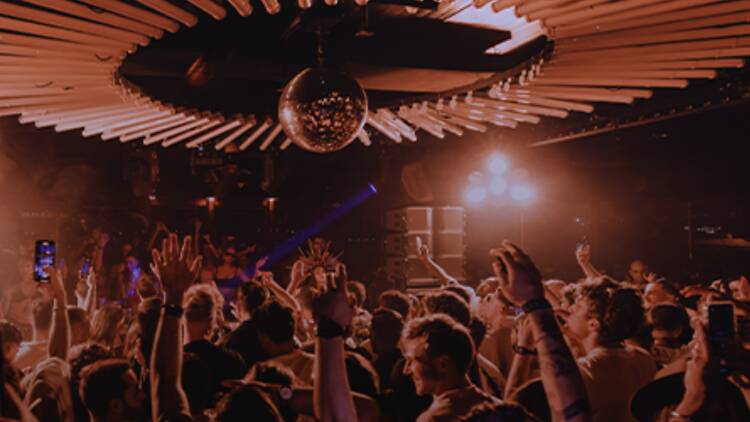 Insanity x Imperial Social Club