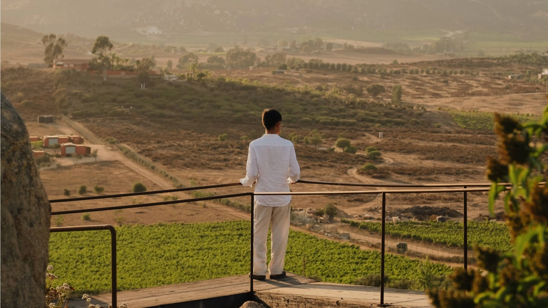 banyantree valle de guadalupe