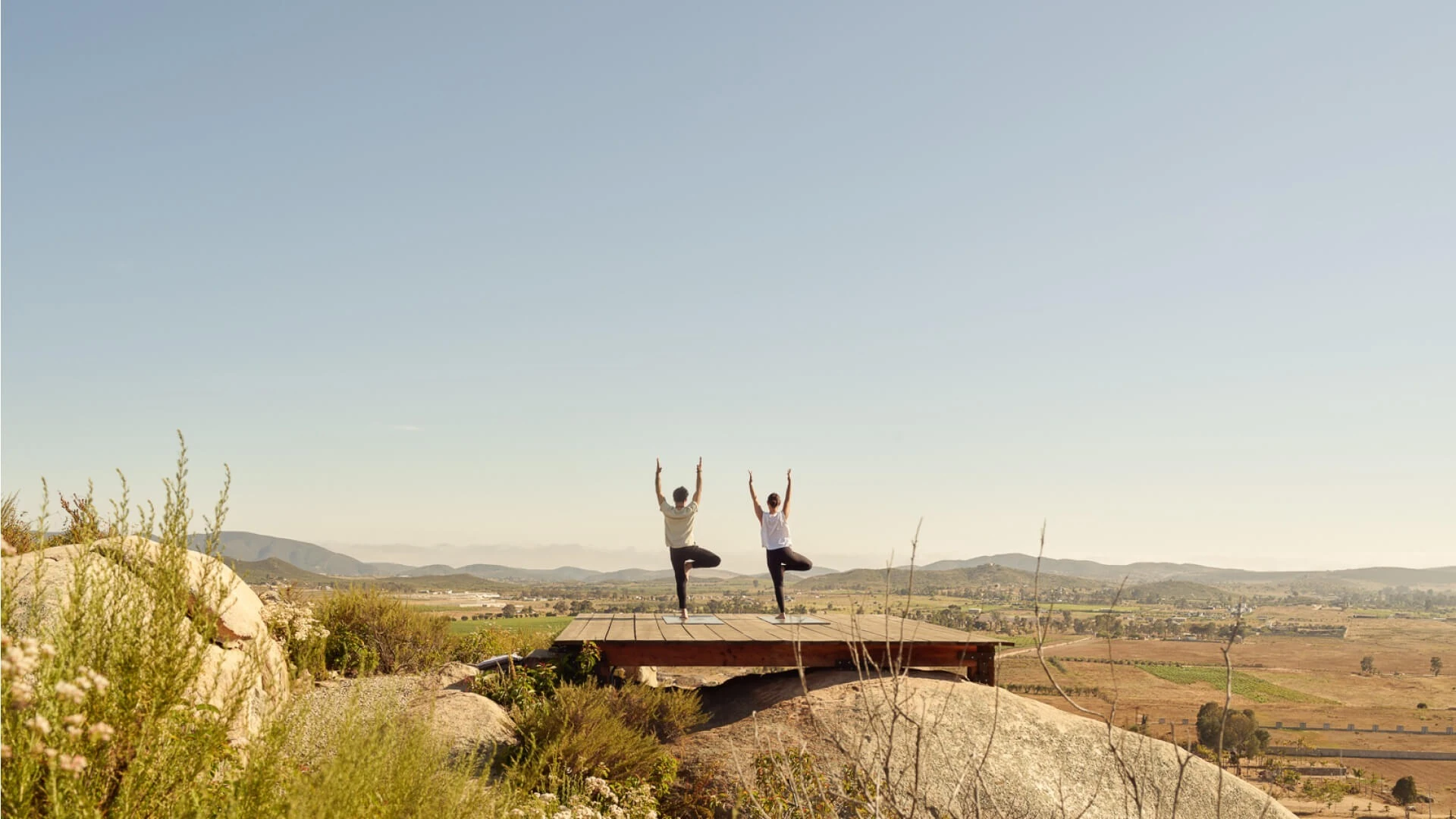 banyantree valle de guadalupe