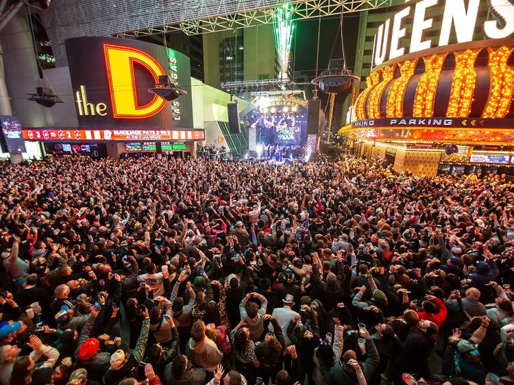 Countdown Under the Canopy