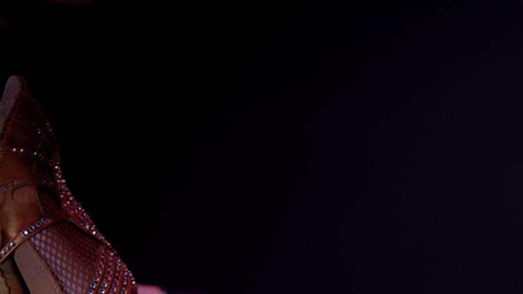 Circ Raluy I Foto: Mery Gallego