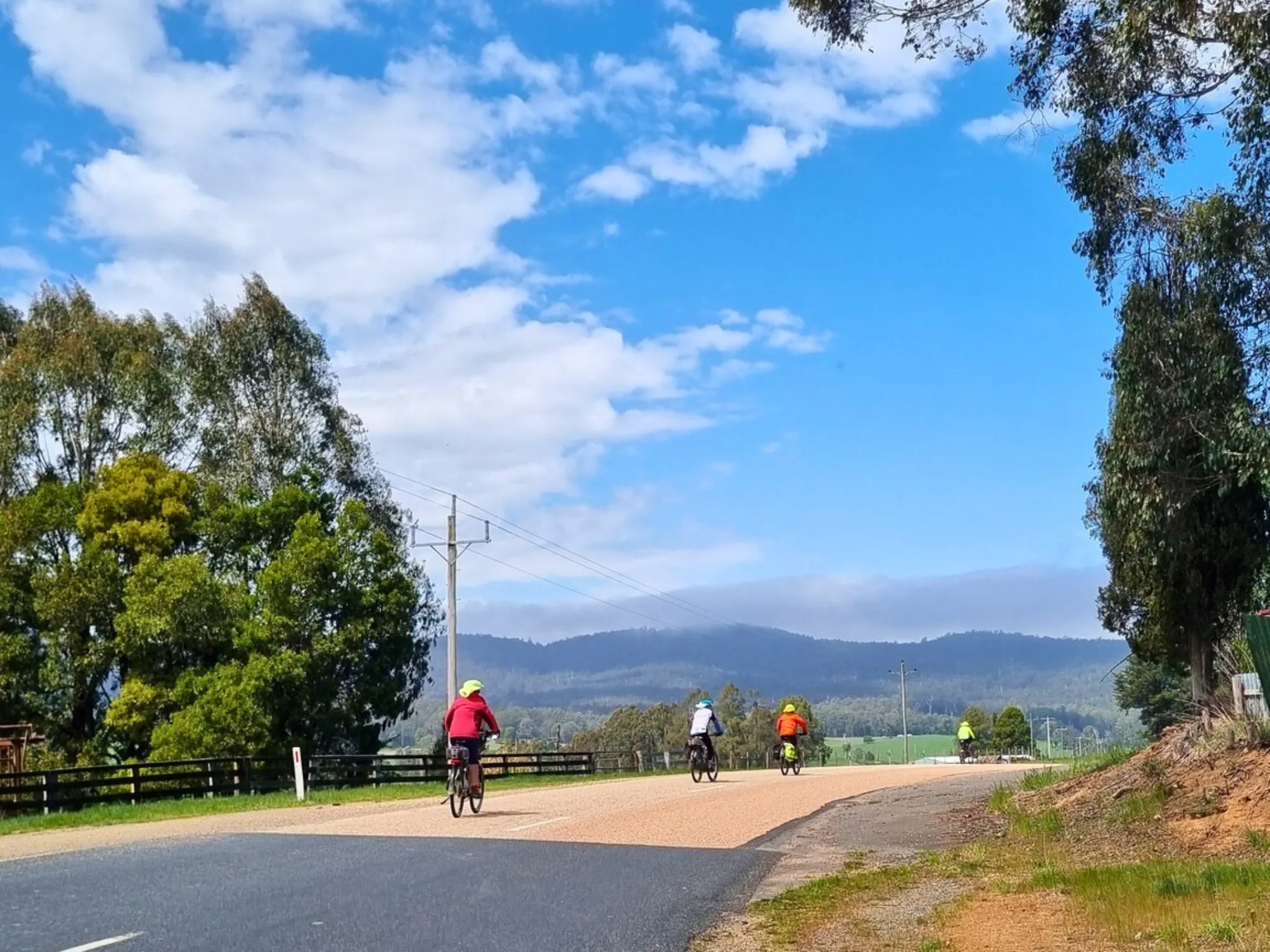 Bikes riding on road