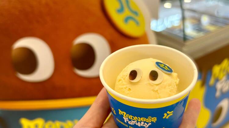 Madness Family Madness Family