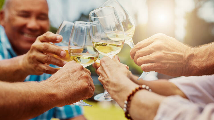 Group of friends toasting with wineglasses Unknown group of diverse friends toasting with wineglasses on vineyard. Happy group of people sitting together and bonding during a wine tasting on a farm during the weekend. Friends enjoying alcohol