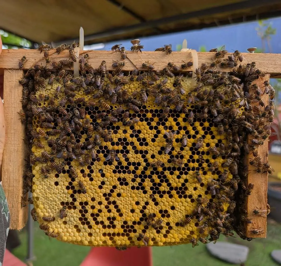 The Sundowner Singapore at Bukit Timah