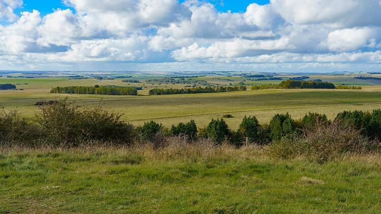 Sidbury Hill, Wiltshire