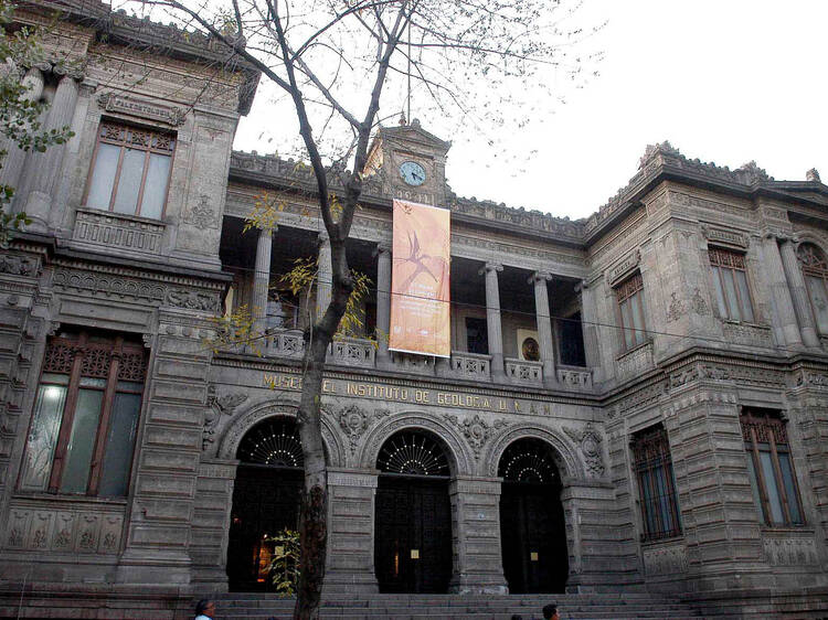 Museo de Geología