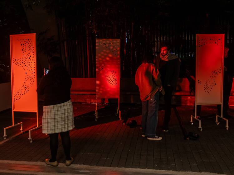 El aire en forma de huésped El aire en forma de huésped