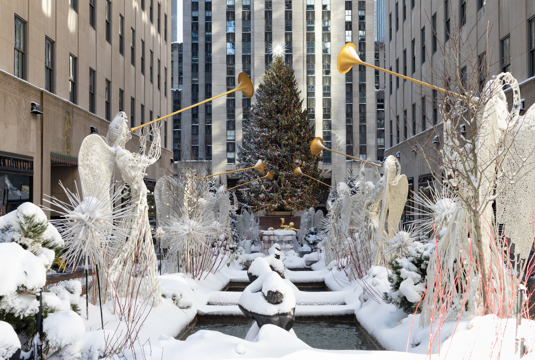 Is New York going to have a white Christmas?