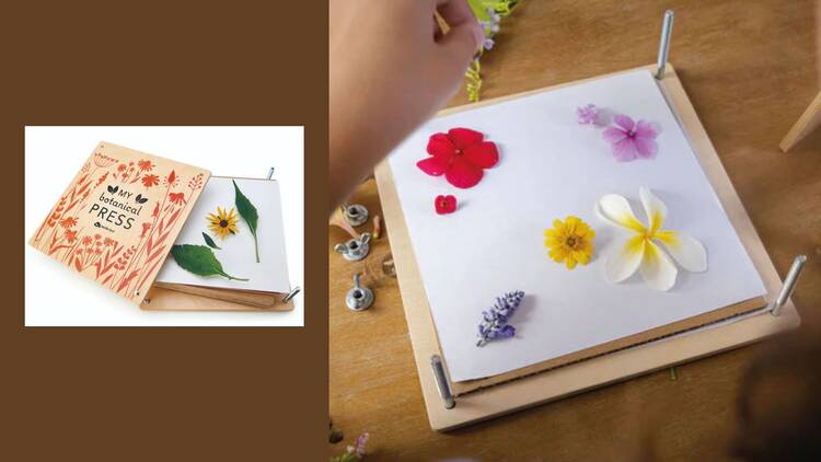 Prensa de flores y hojas Prensa de flores y hojas