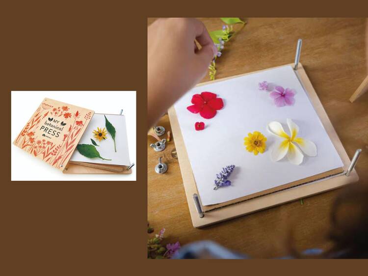 Prensa de flores y hojas Prensa de flores y hojas