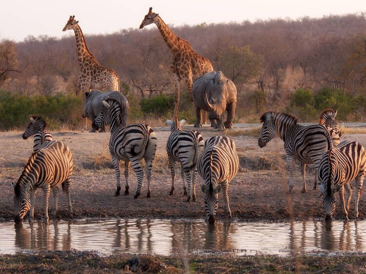 Kruger National Park