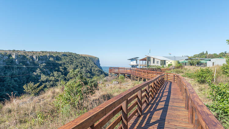 Graskop Gorge Lift Company