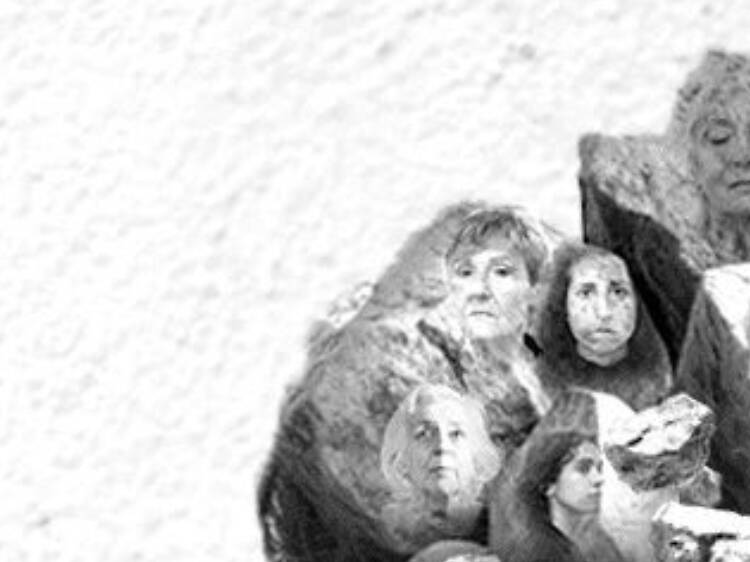 O Silêncio de Electra O Silêncio de Electra