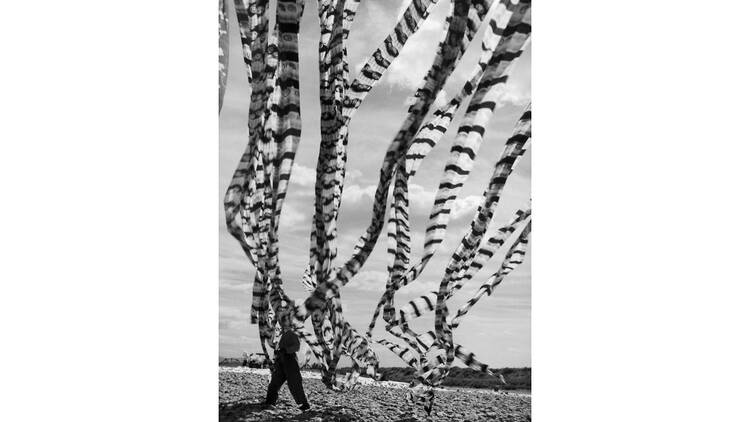 ビショフが見た京都