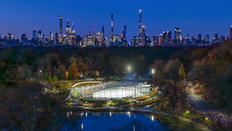 Gottesman Rink at the Davis Center